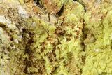 Sulfur Crystals on Matrix - Steamboat Springs, Nevada #284370-1